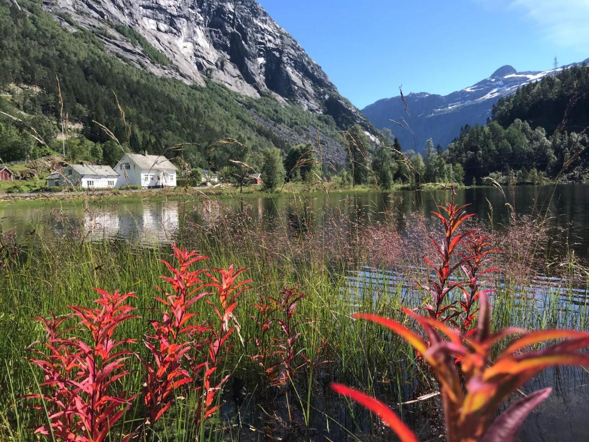 Trolltunga Skjeggedal Villa Luaran gambar